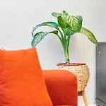 Modern Flat In The Heart Of *