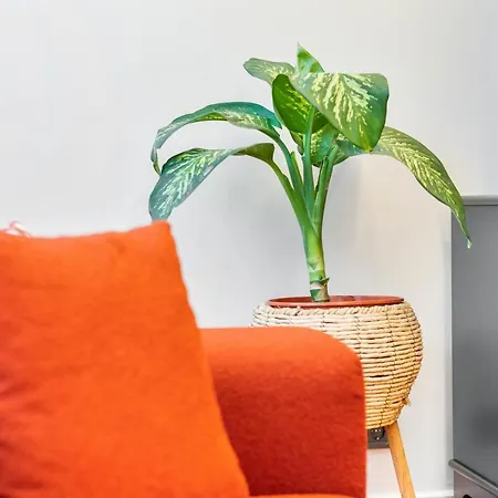 Modern Flat In The Heart Of *